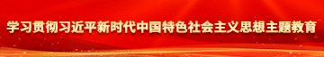 飞机插进女生屁股里的软件学习贯彻习近平新时代中国特色社会主义思想主题教育